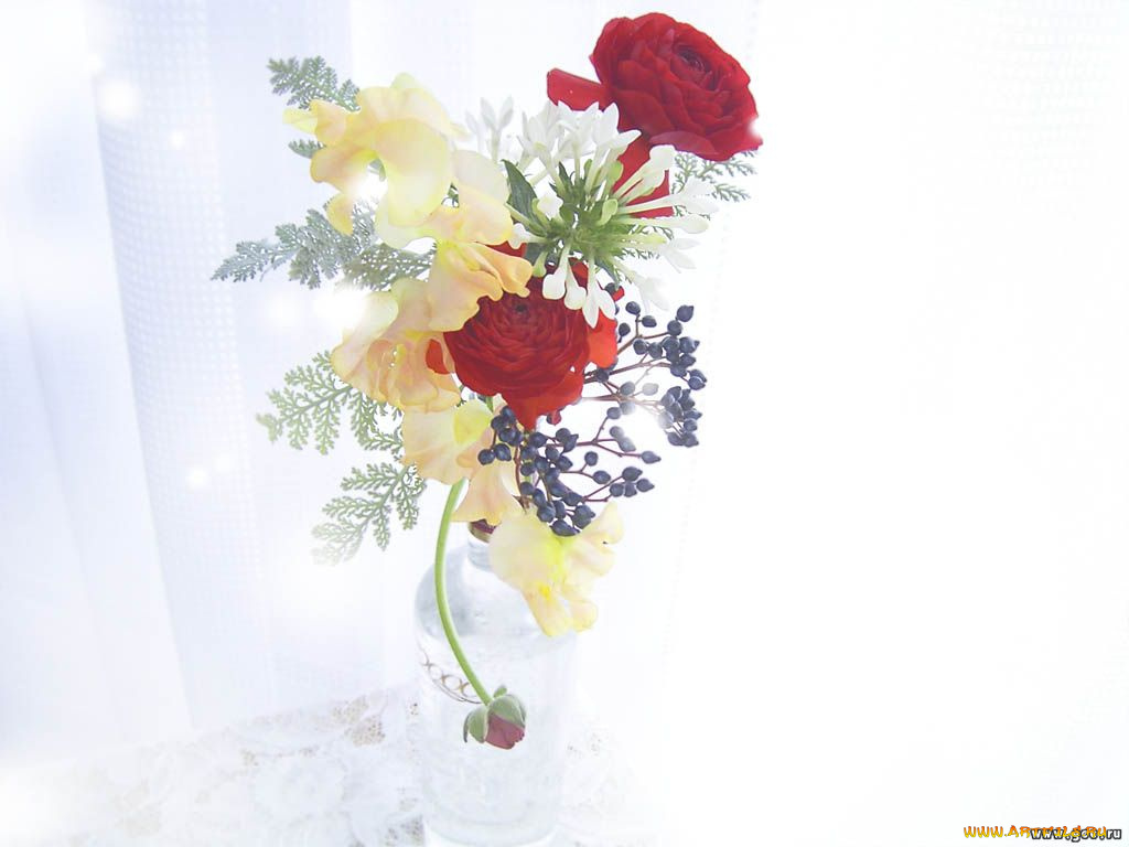 цветы, букеты, композиции