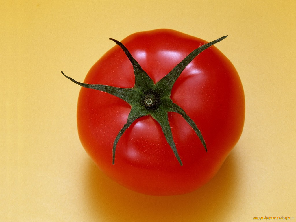 еда, помидоры, томаты