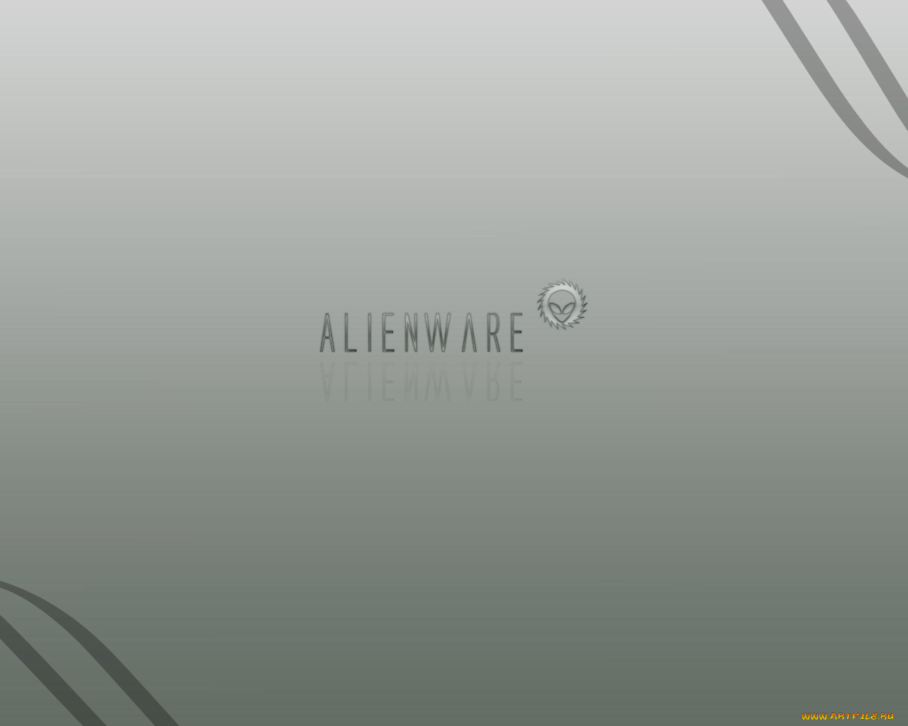 компьютеры, alienware