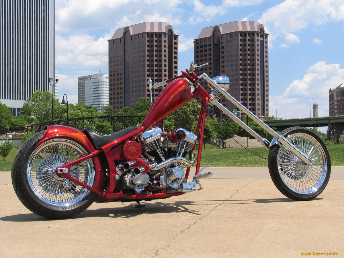 мотоциклы, customs