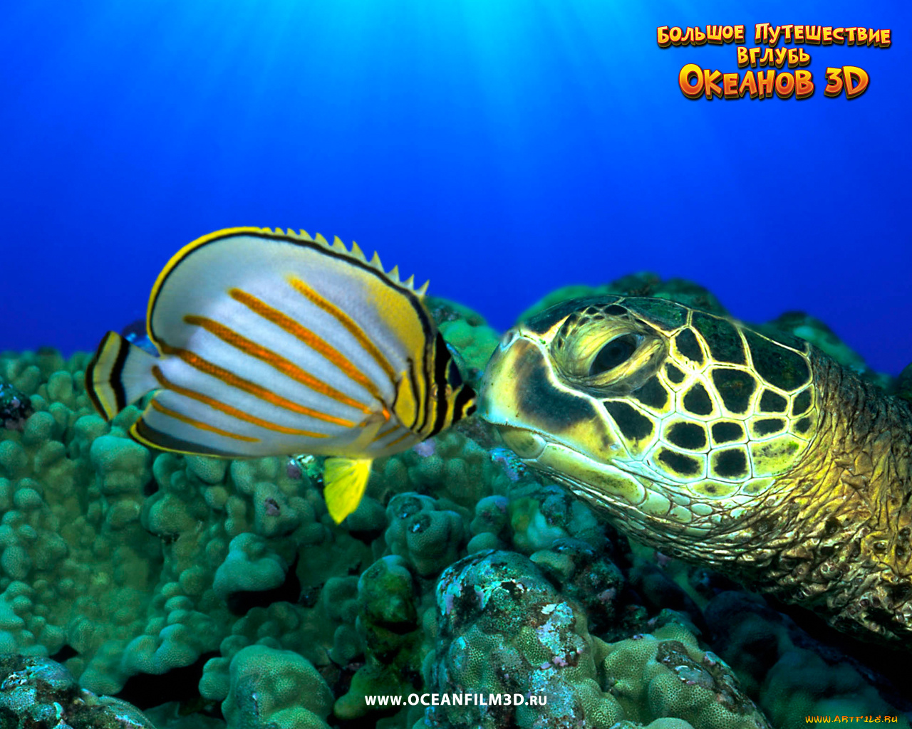 oceanworld, 3d, кино, фильмы