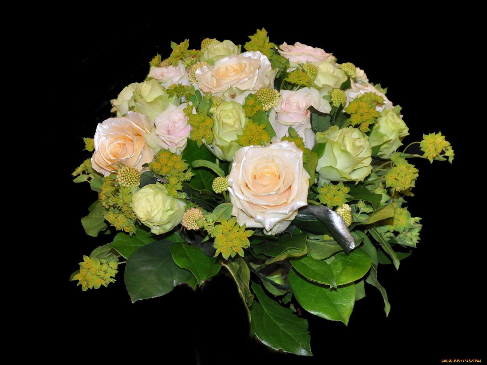 цветы, букеты, композиции