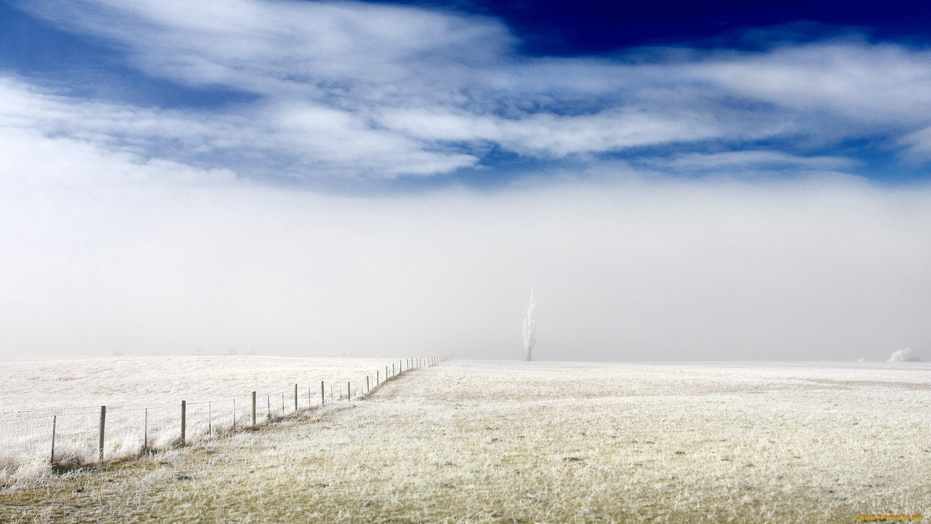 природа, поля