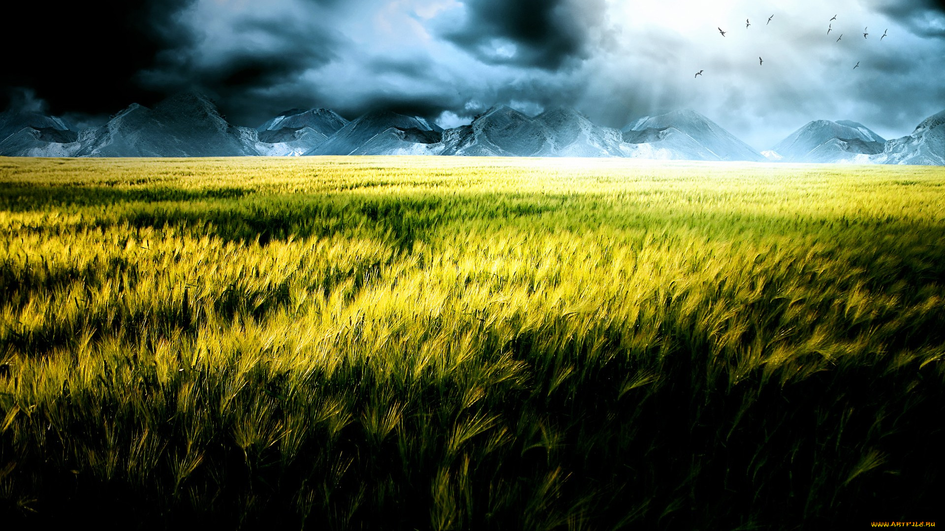 природа, поля