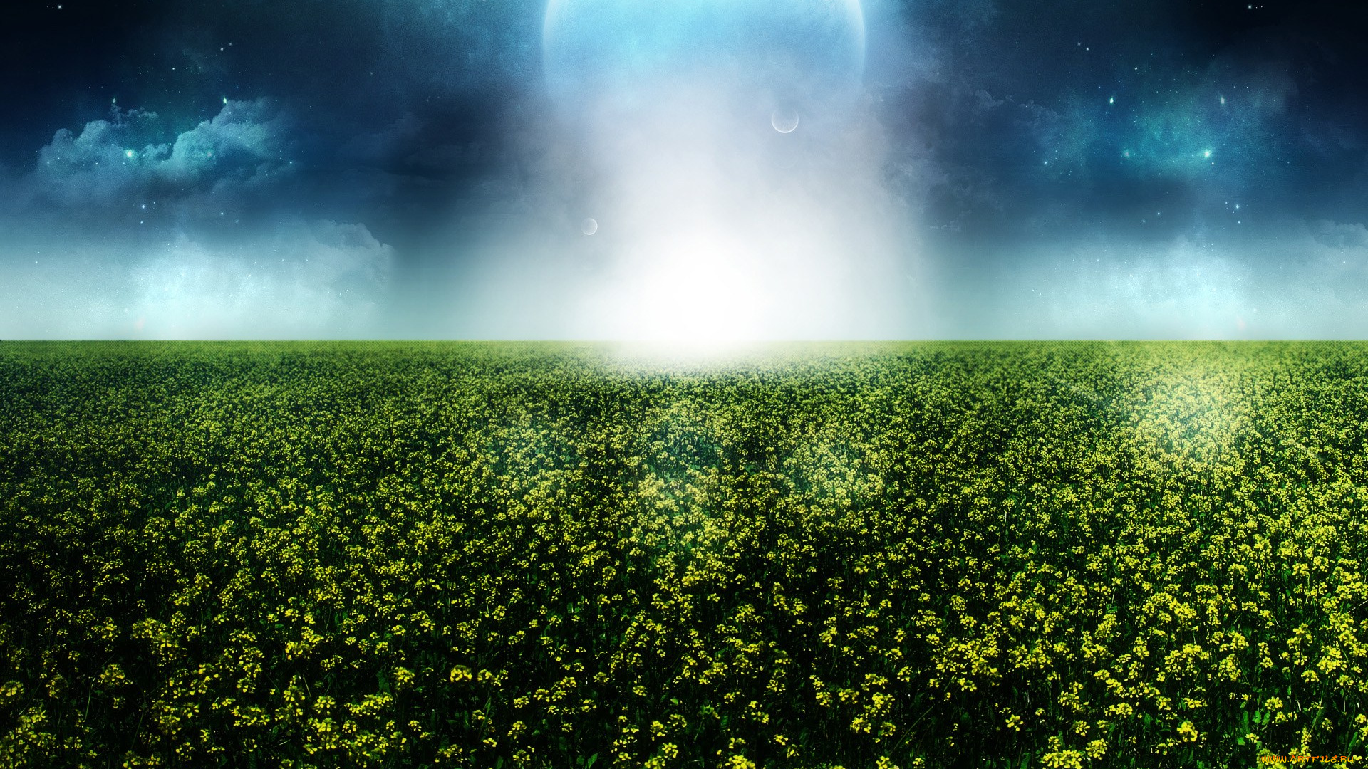 природа, поля