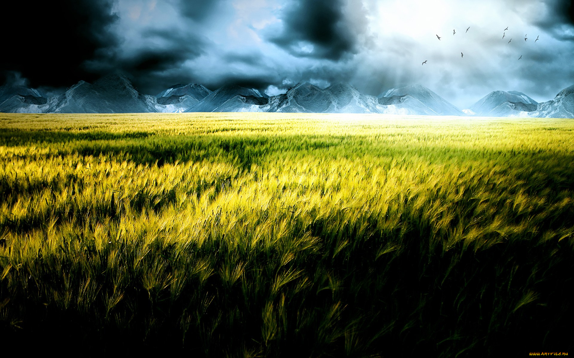 природа, поля