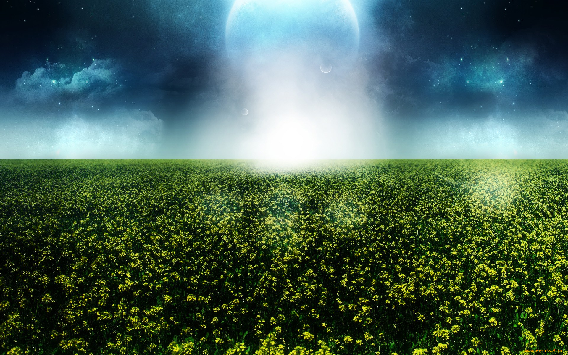 природа, поля