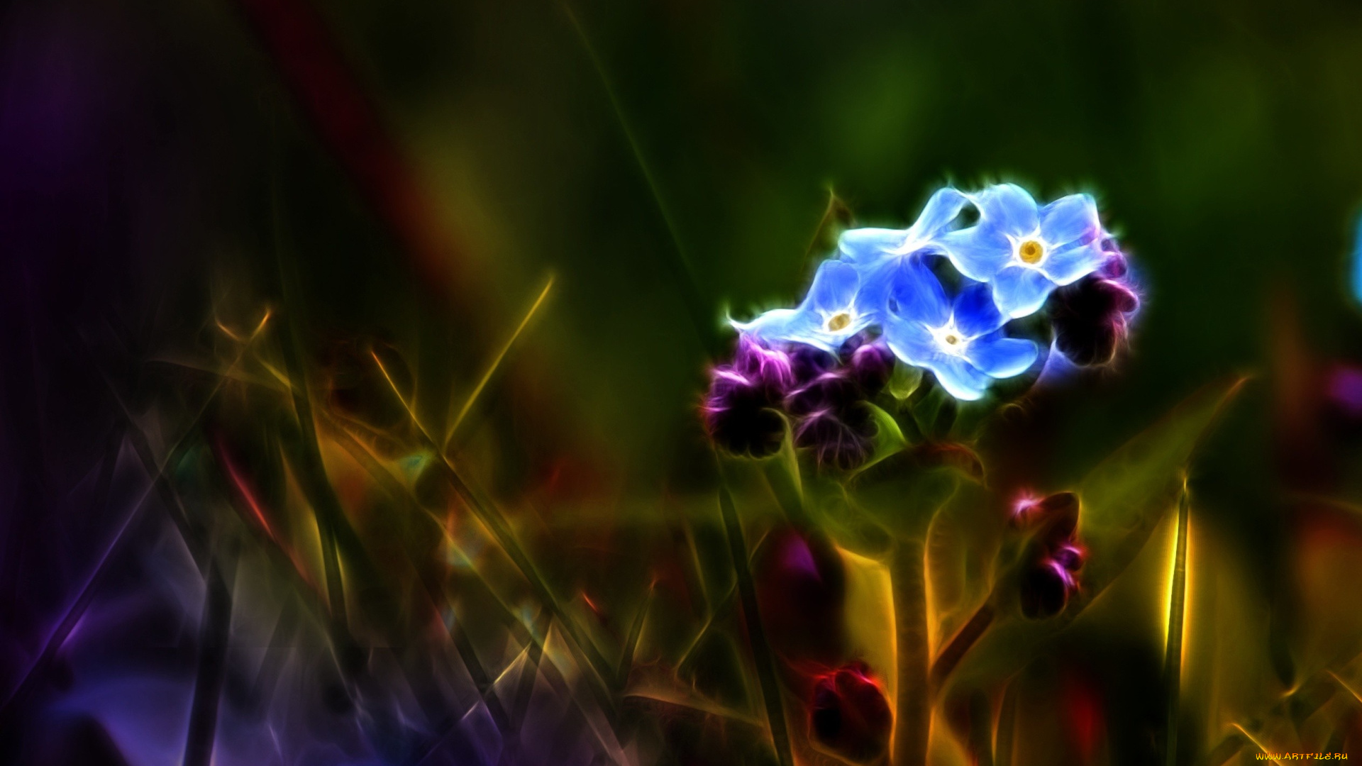 3д, графика, flowers, цветы, цвветок, темно-зеленый, фон