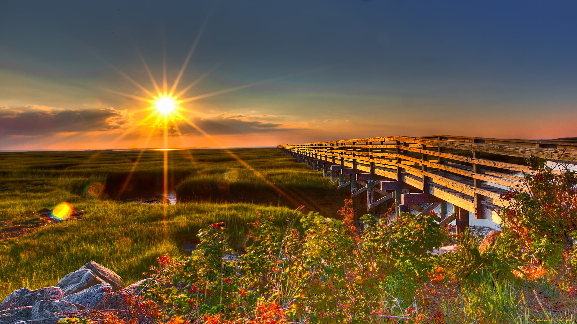 beautiful, view, природа, восходы, закаты, восход, мостик, поле