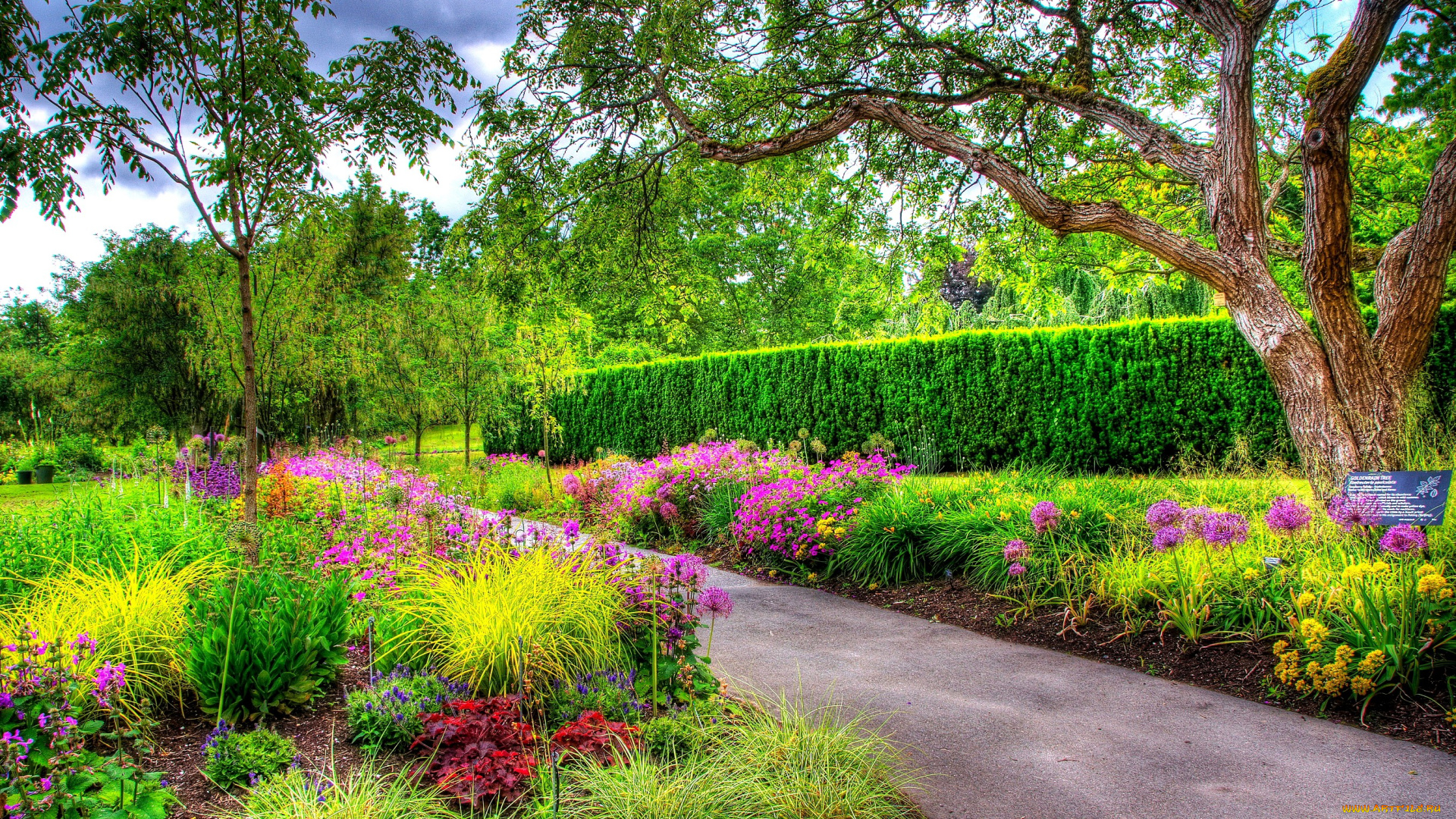 botanic, garden, природа, парк, ботанический, сад, растения