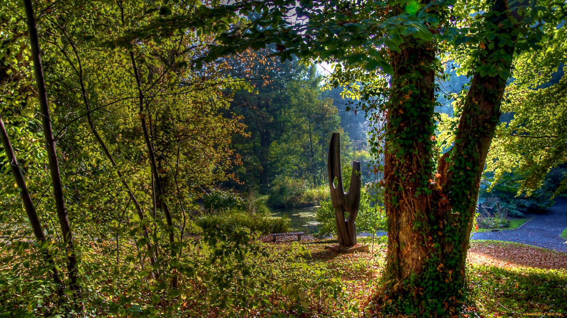 in, the, park, природа, парк, дорожки, деревья