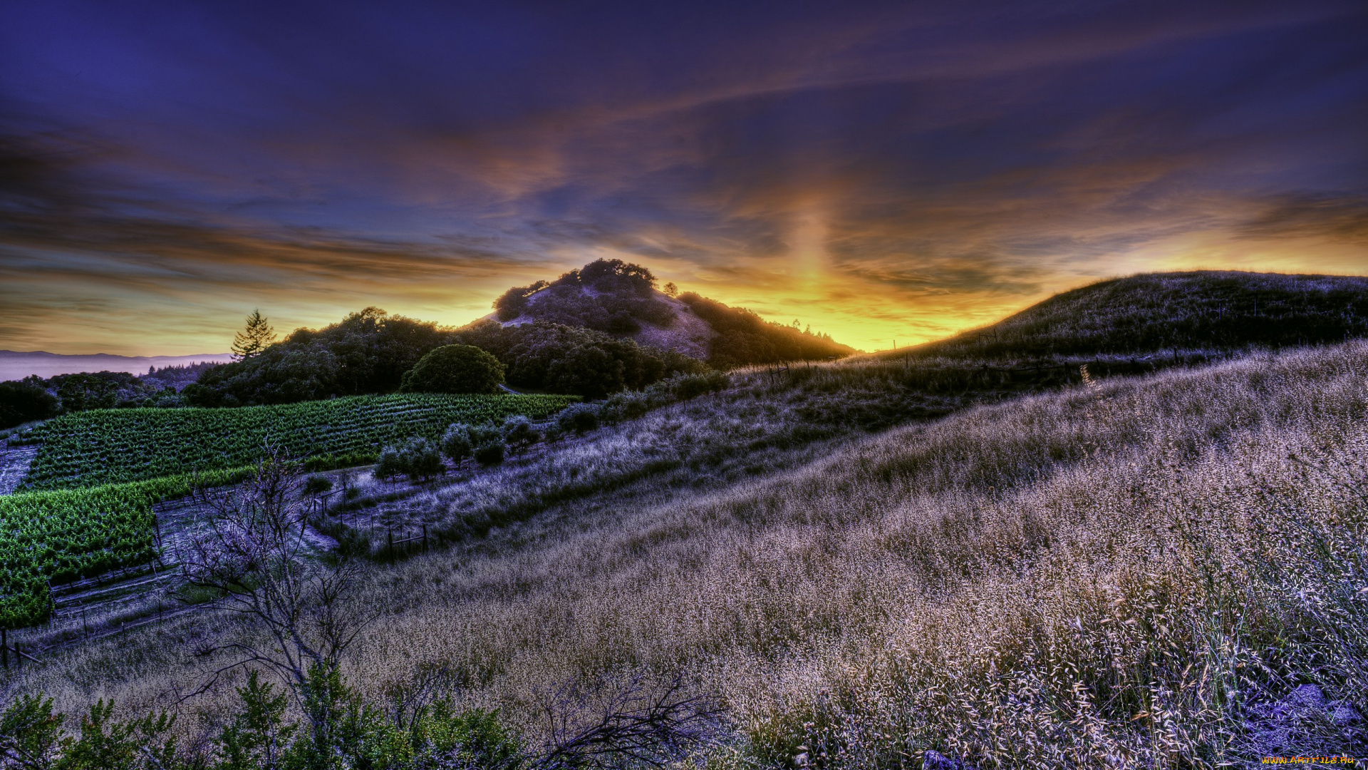 magnifique, природа, восходы, закаты, холмы, склон, закат