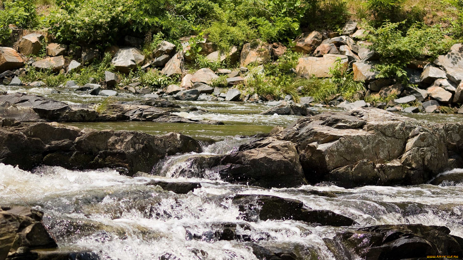 природа, реки, озера, река, камни