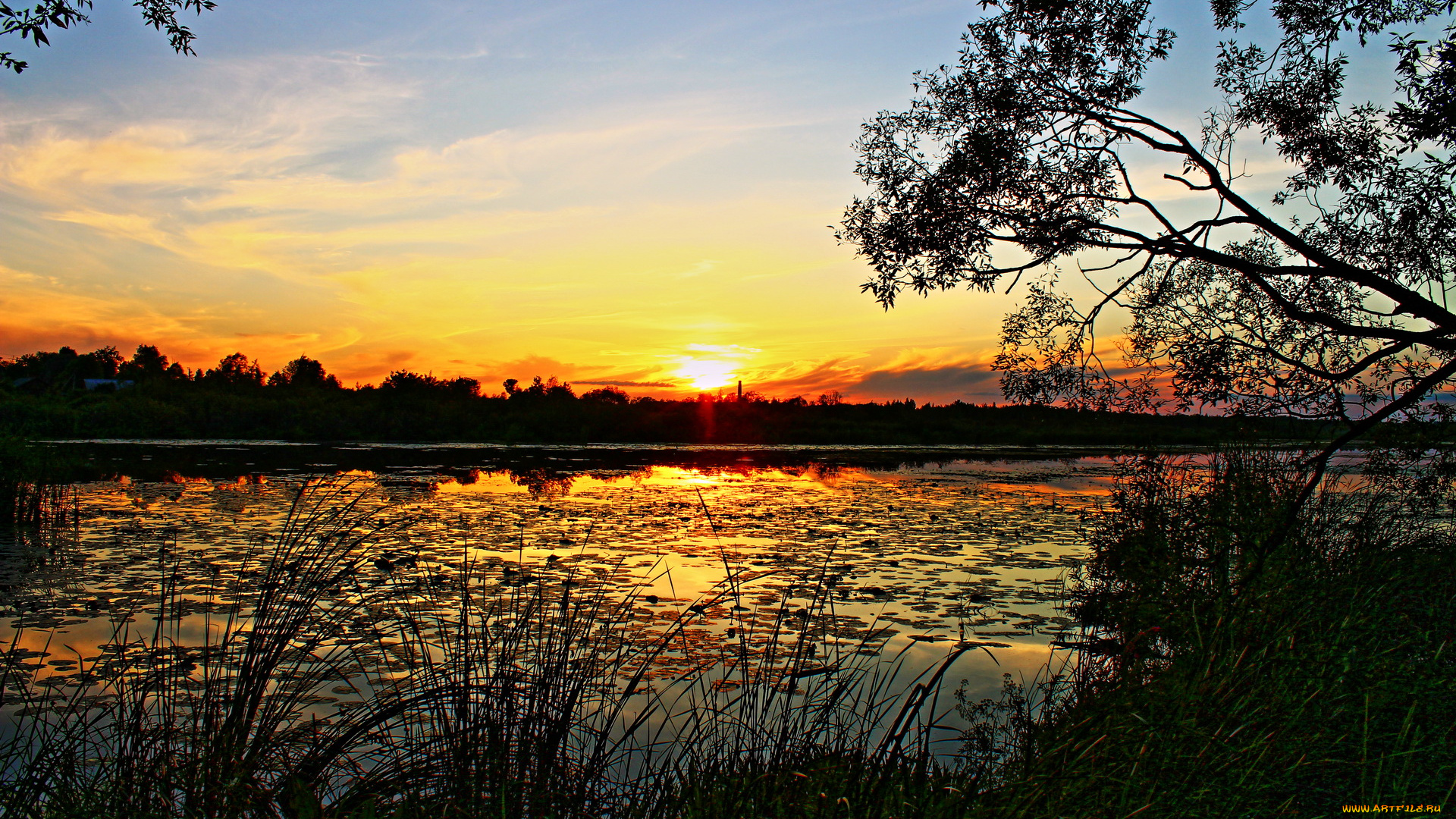 псковская, область, невель, emenka, природа, восходы, закаты, закат, река