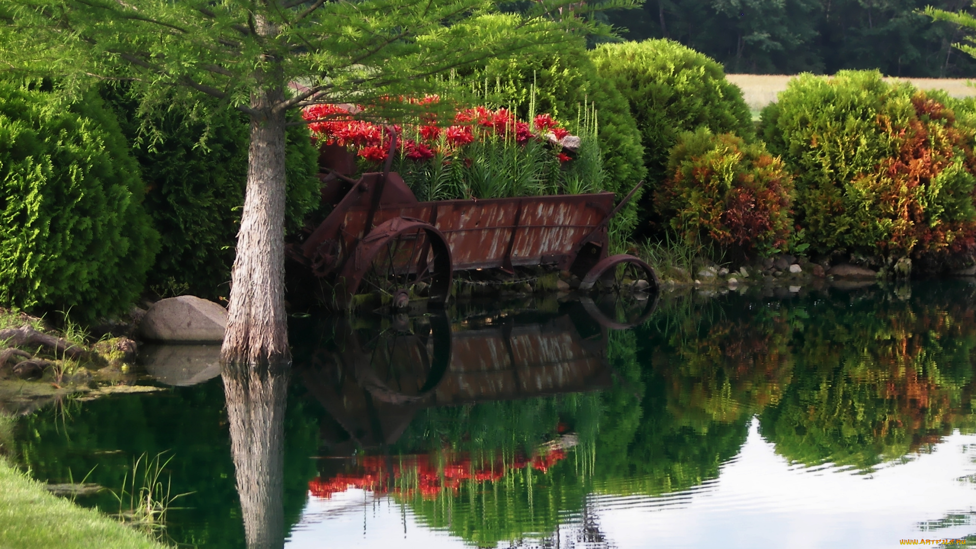 time, to, ponder, природа, реки, озера, деревья, озеро, цветы