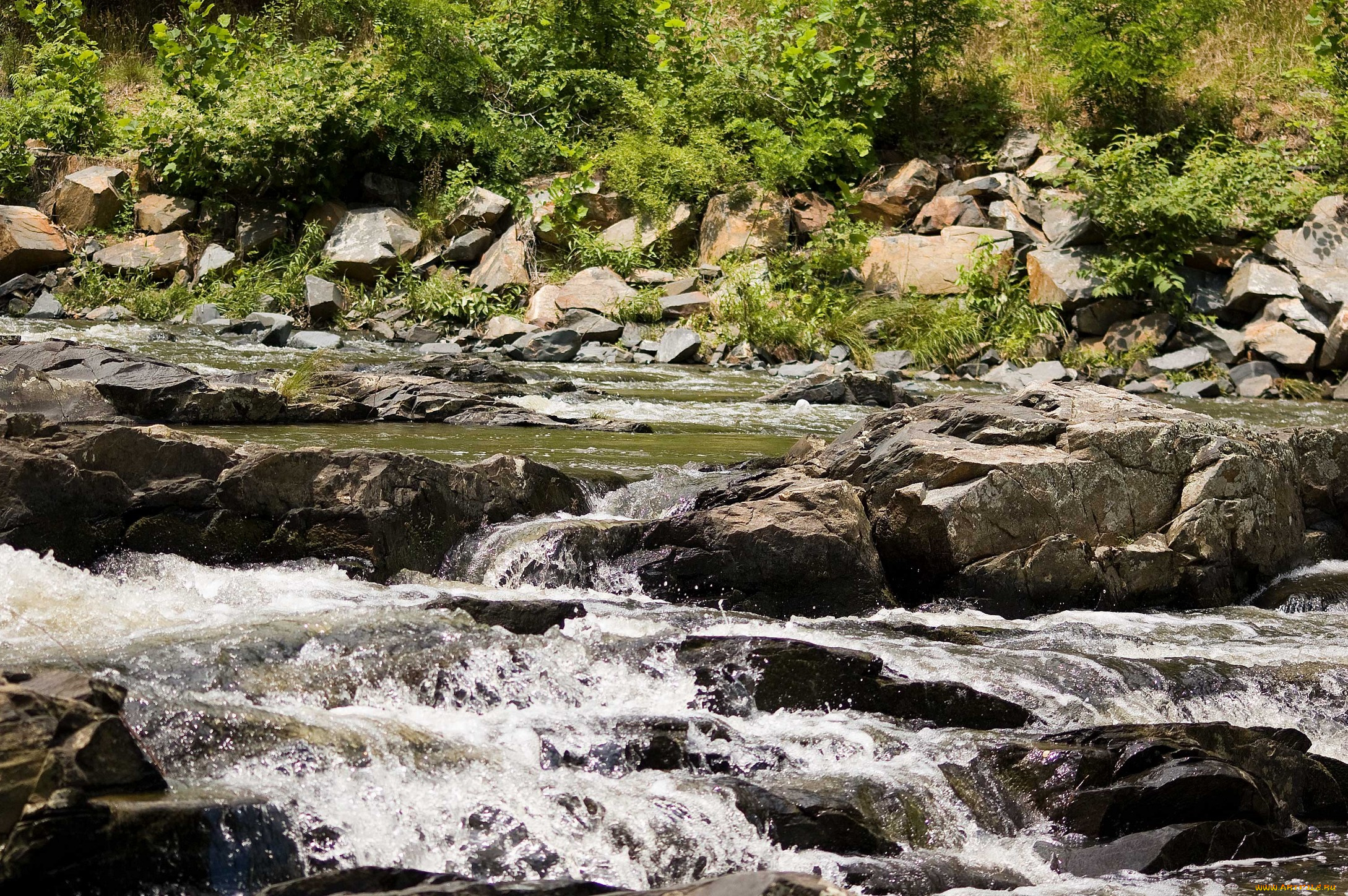 природа, реки, озера, река, камни