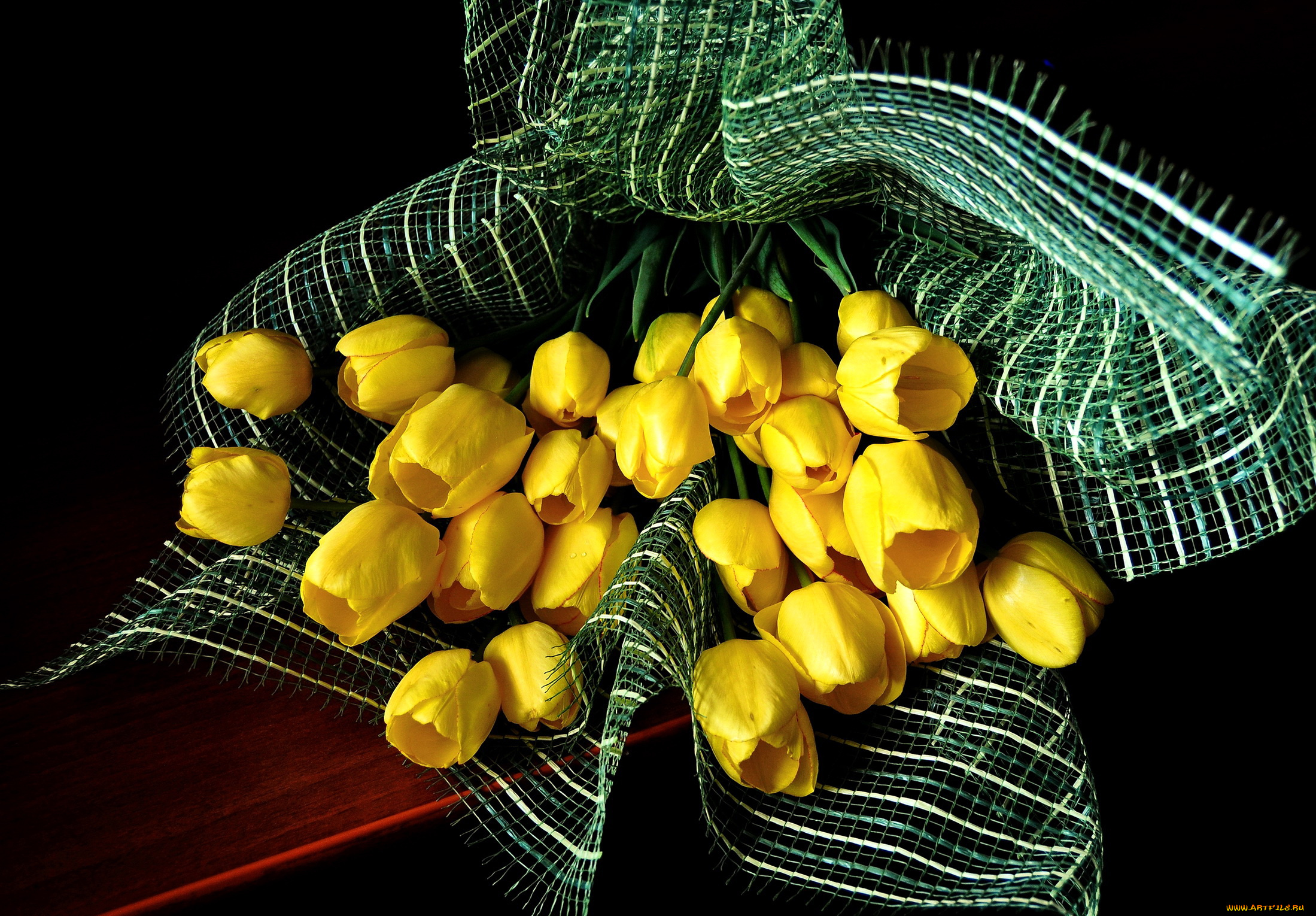 цветы, тюльпаны