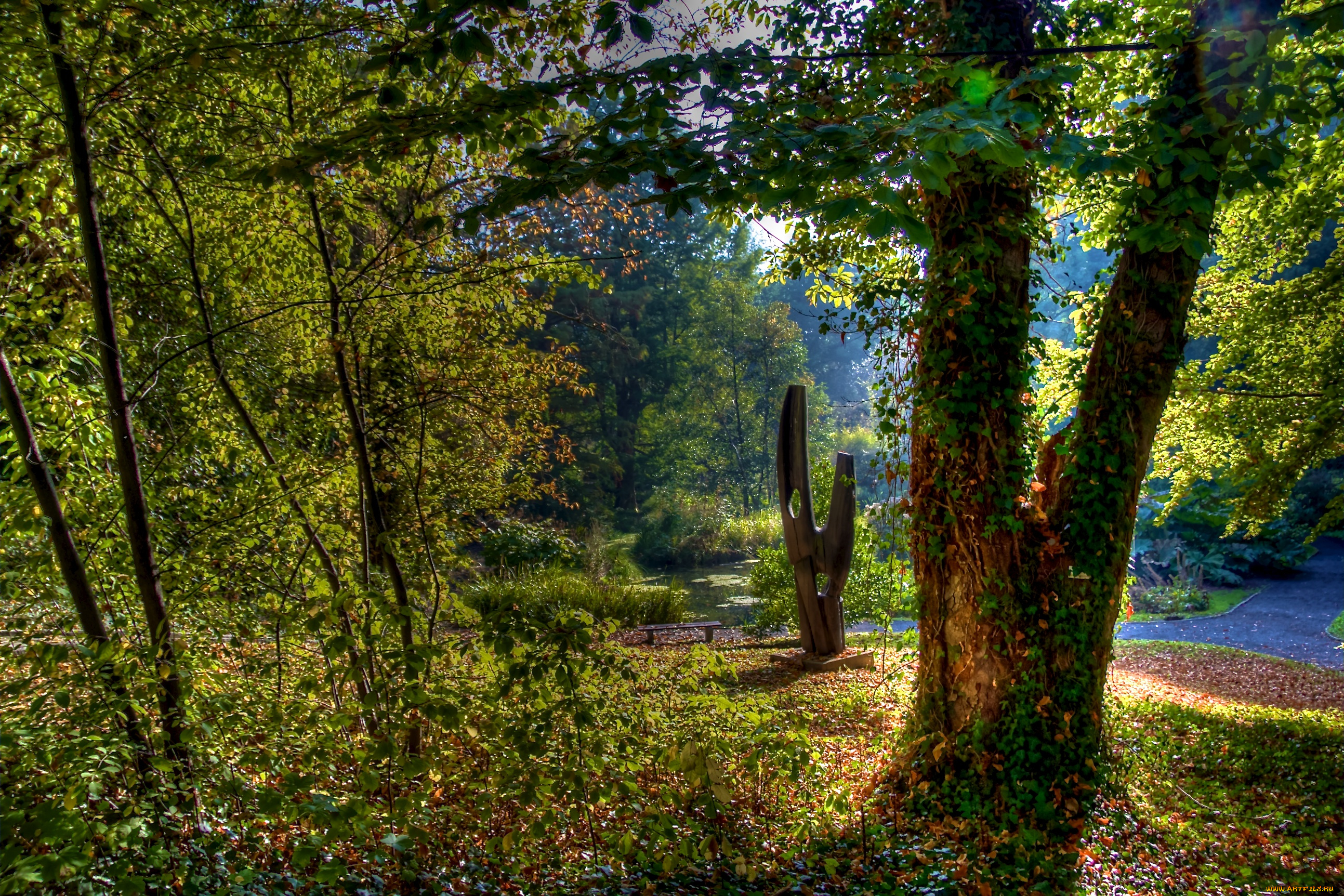 in, the, park, природа, парк, дорожки, деревья