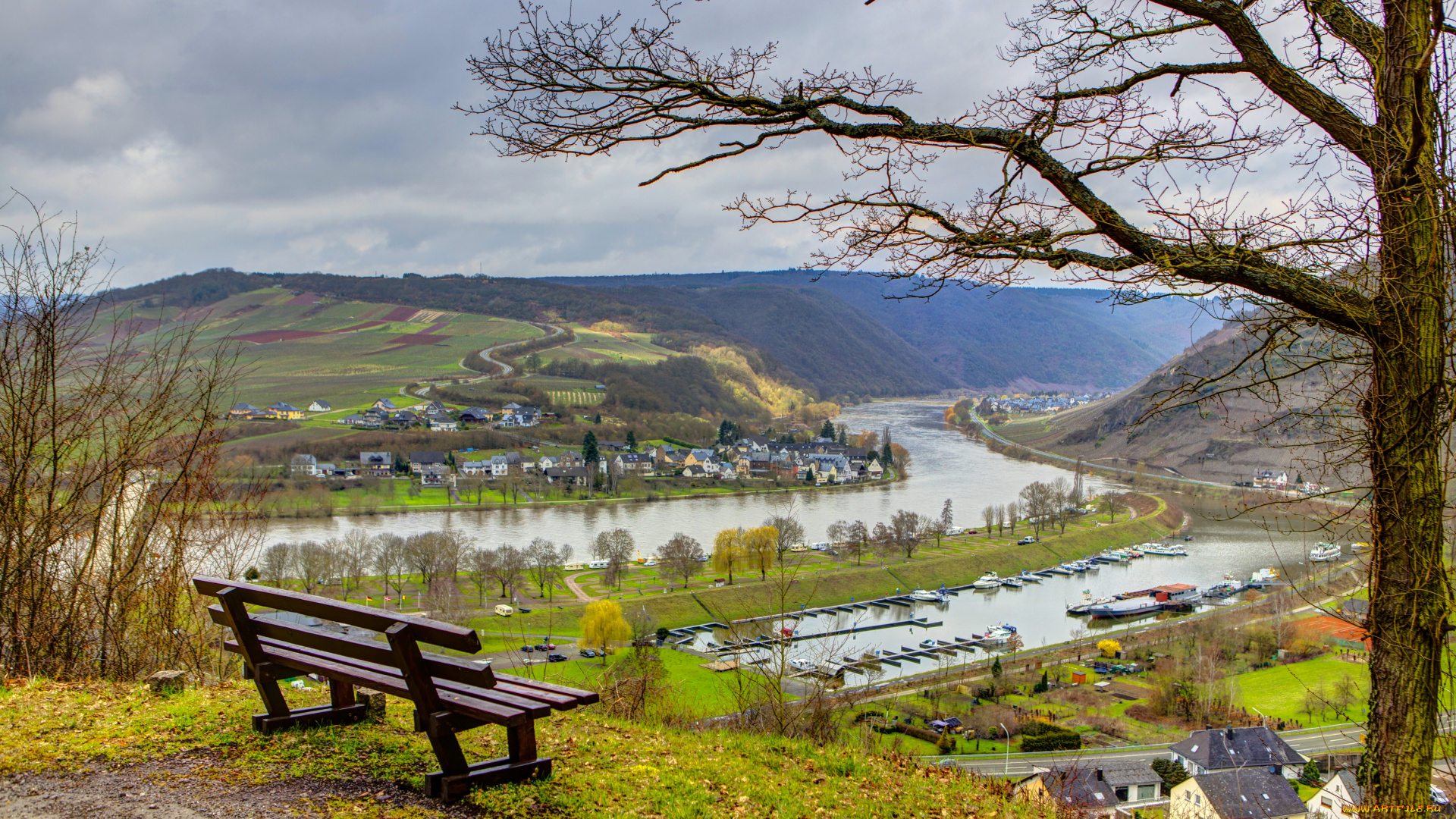 германия, зенхайм, города, пейзажи, река, дома, панорама