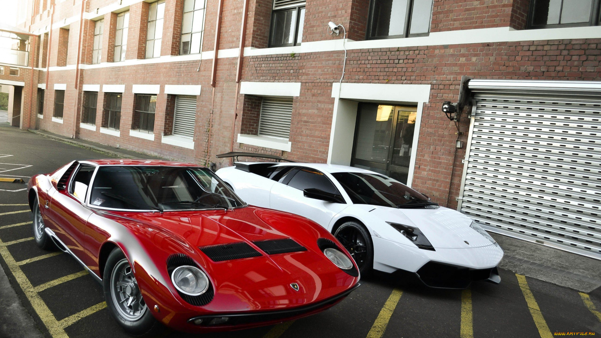 автомобили, lamborghini, lambo