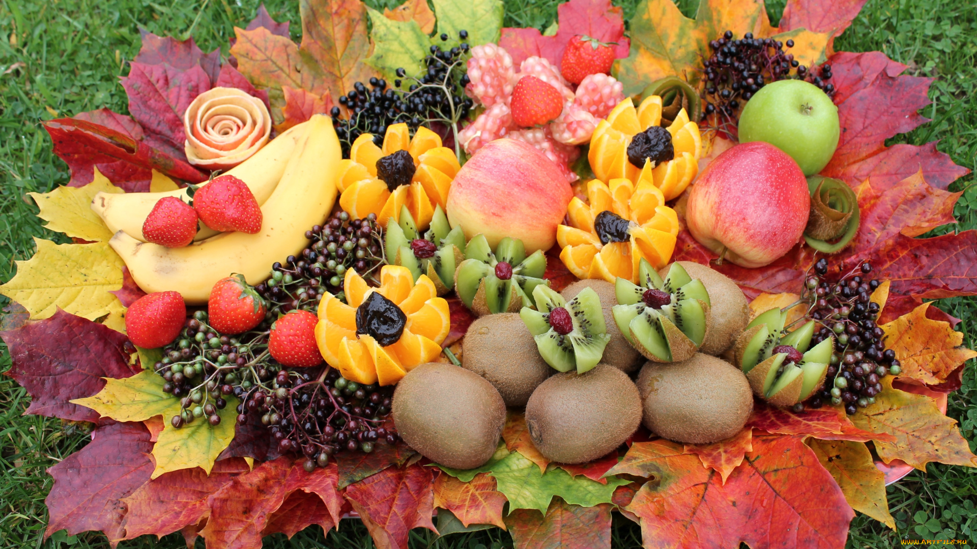 еда, фрукты, , ягоды, осень, бузина, апельсин, богатство, киви, яблоки, банан