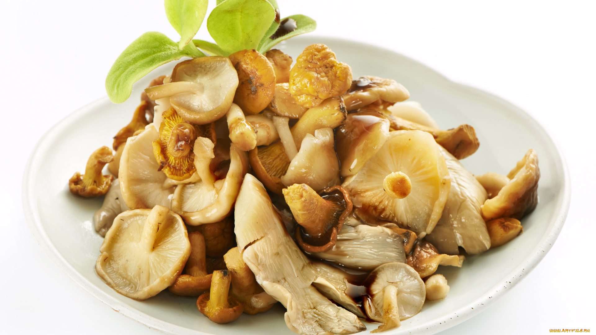 еда, грибы, , грибные, блюда, тарелка