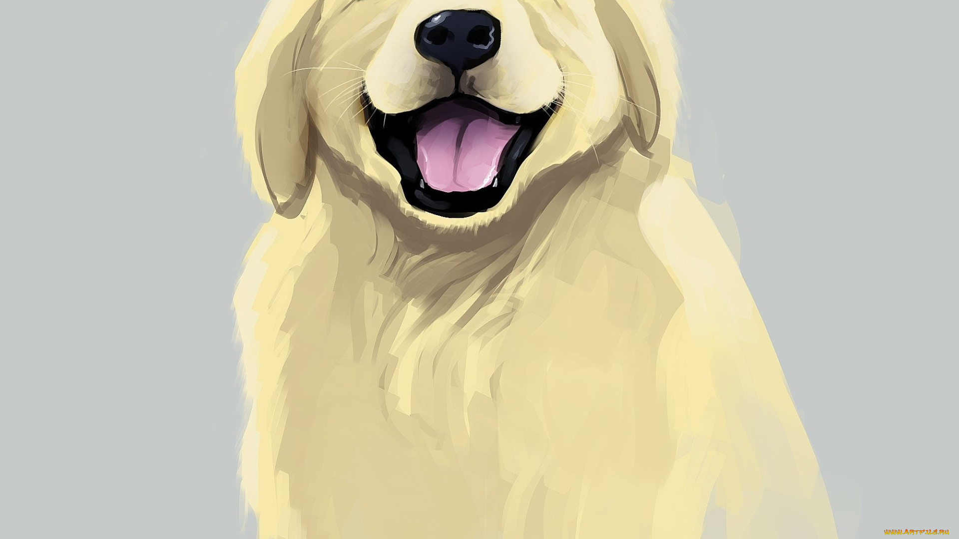 рисованные, животные, , собаки, взгляд