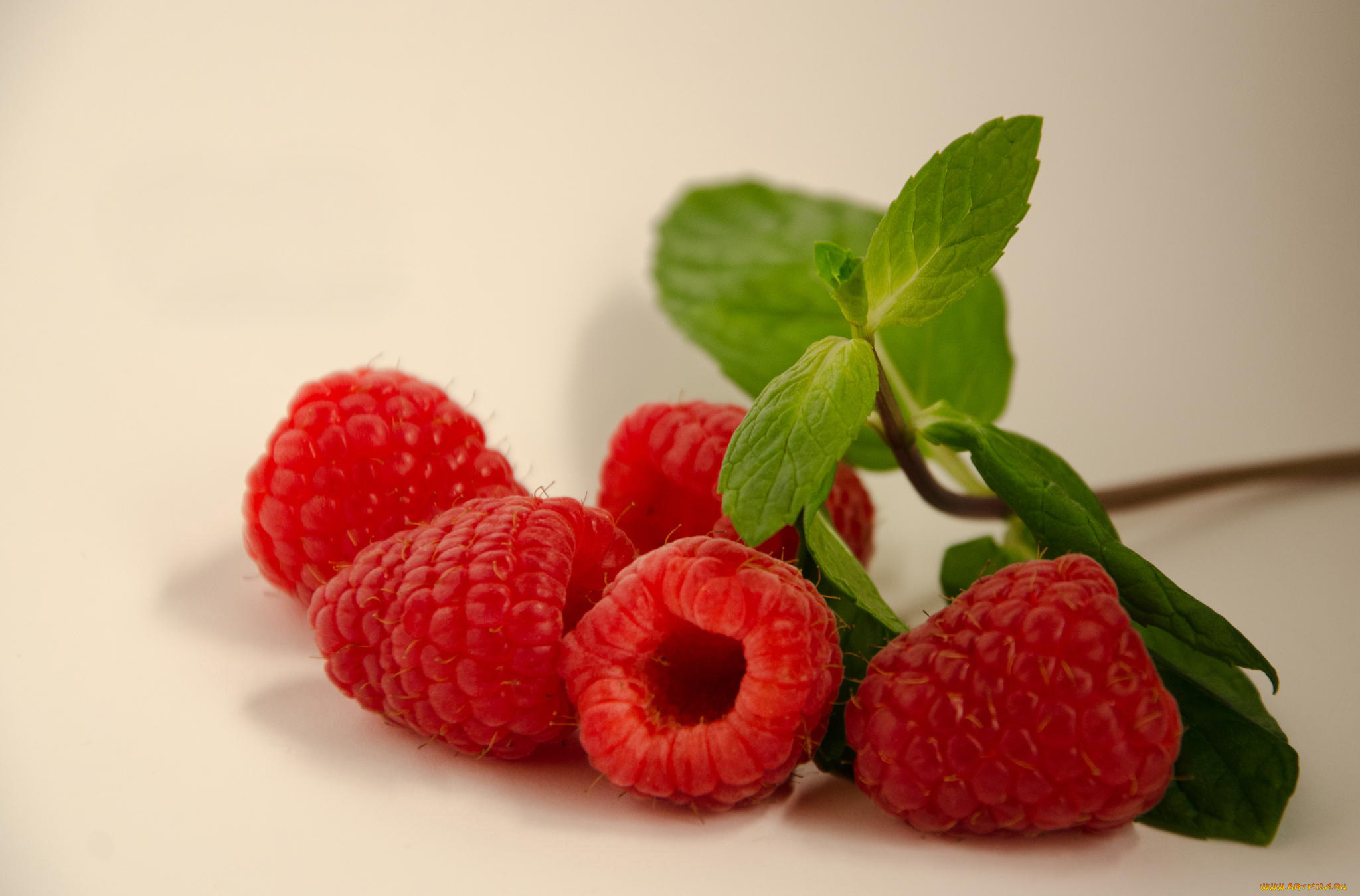 еда, малина, ягода, листья