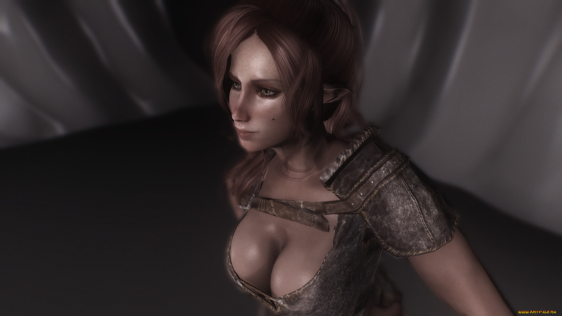 3д, графика, эльфы, , elves, фон, взгляд, эльфийка