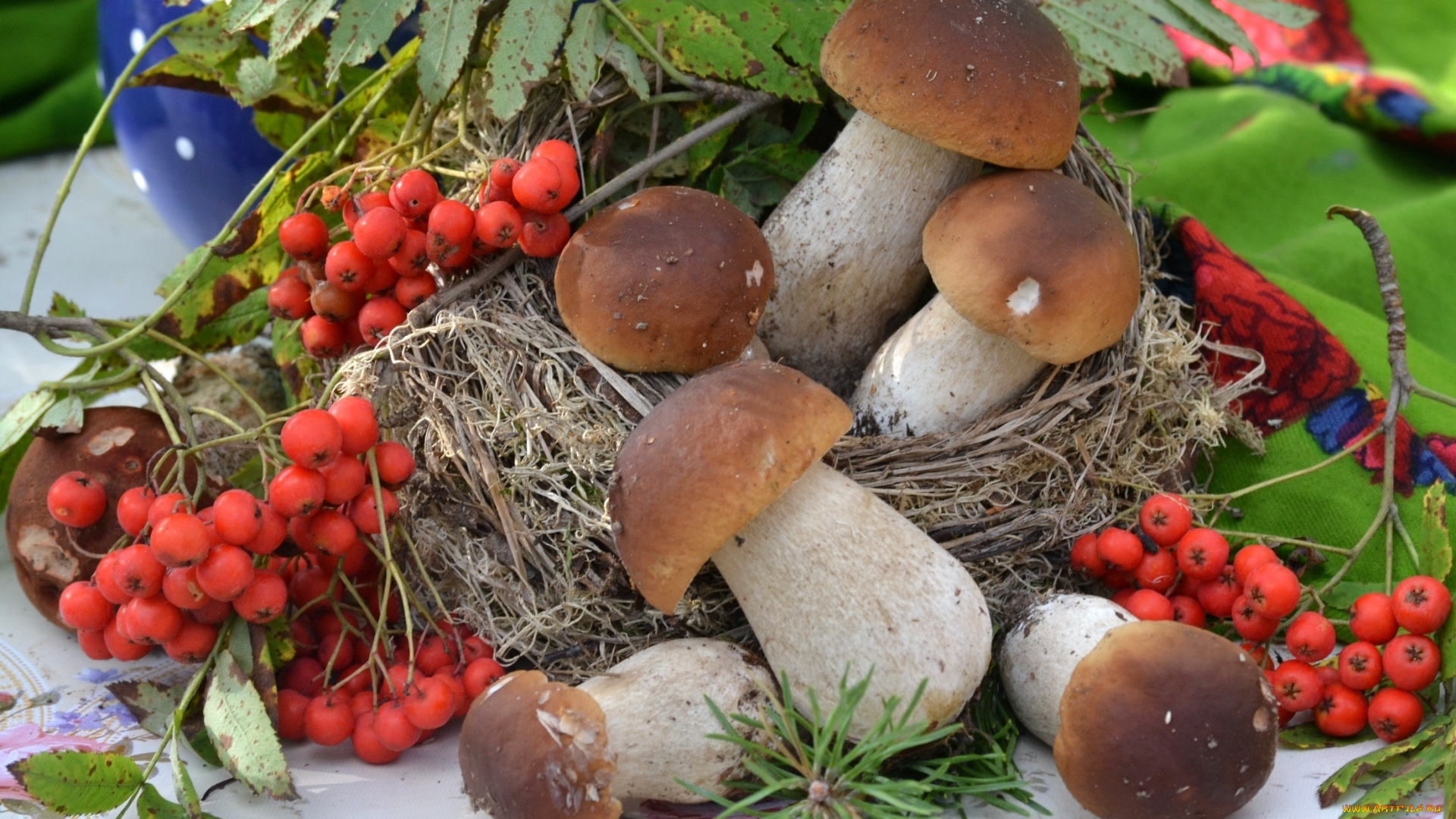 еда, грибы, , грибные, блюда, рябина, боровики
