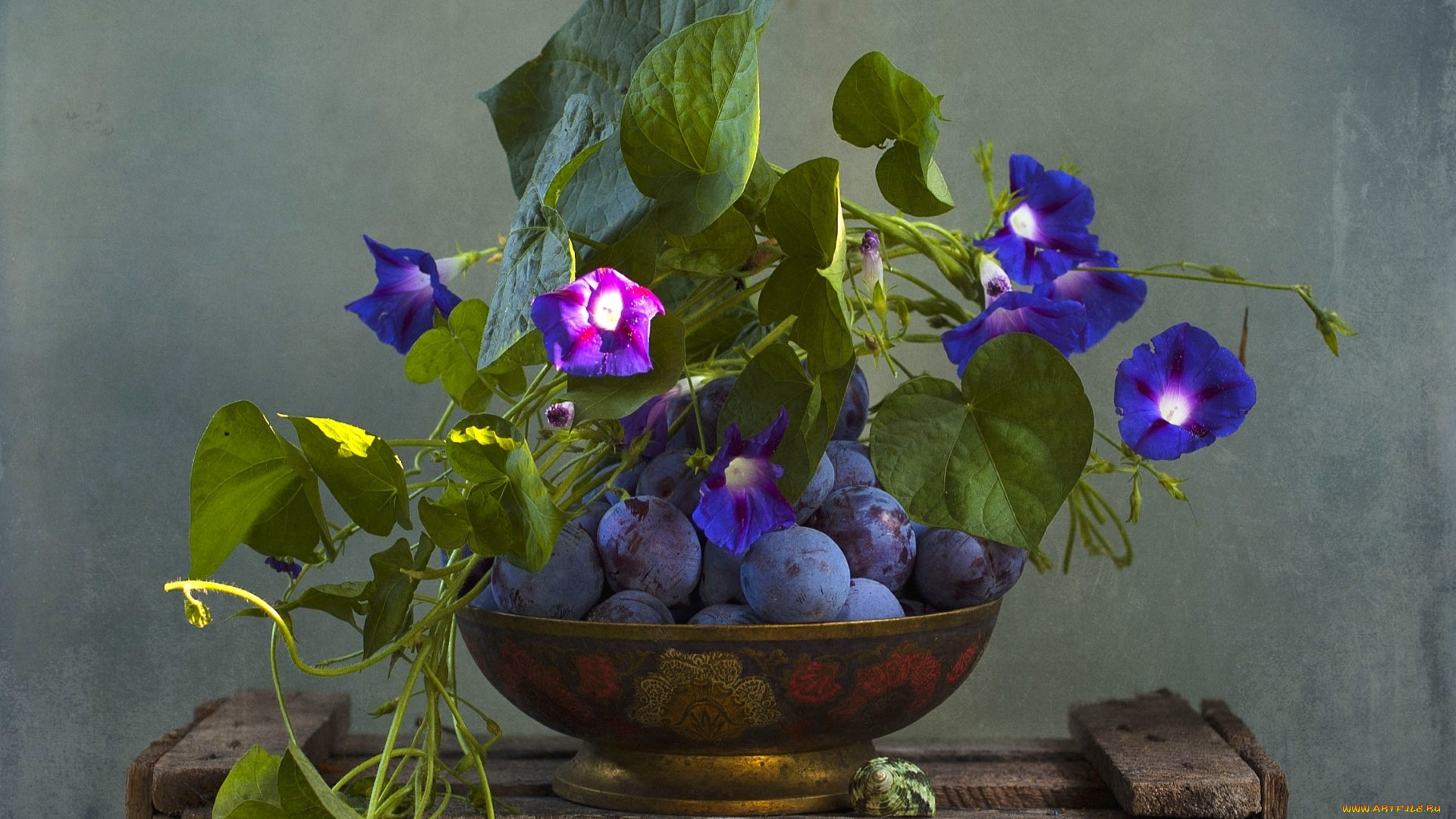 еда, персики, , сливы, , абрикосы, текстура, сливы, ипомея, вьюнок