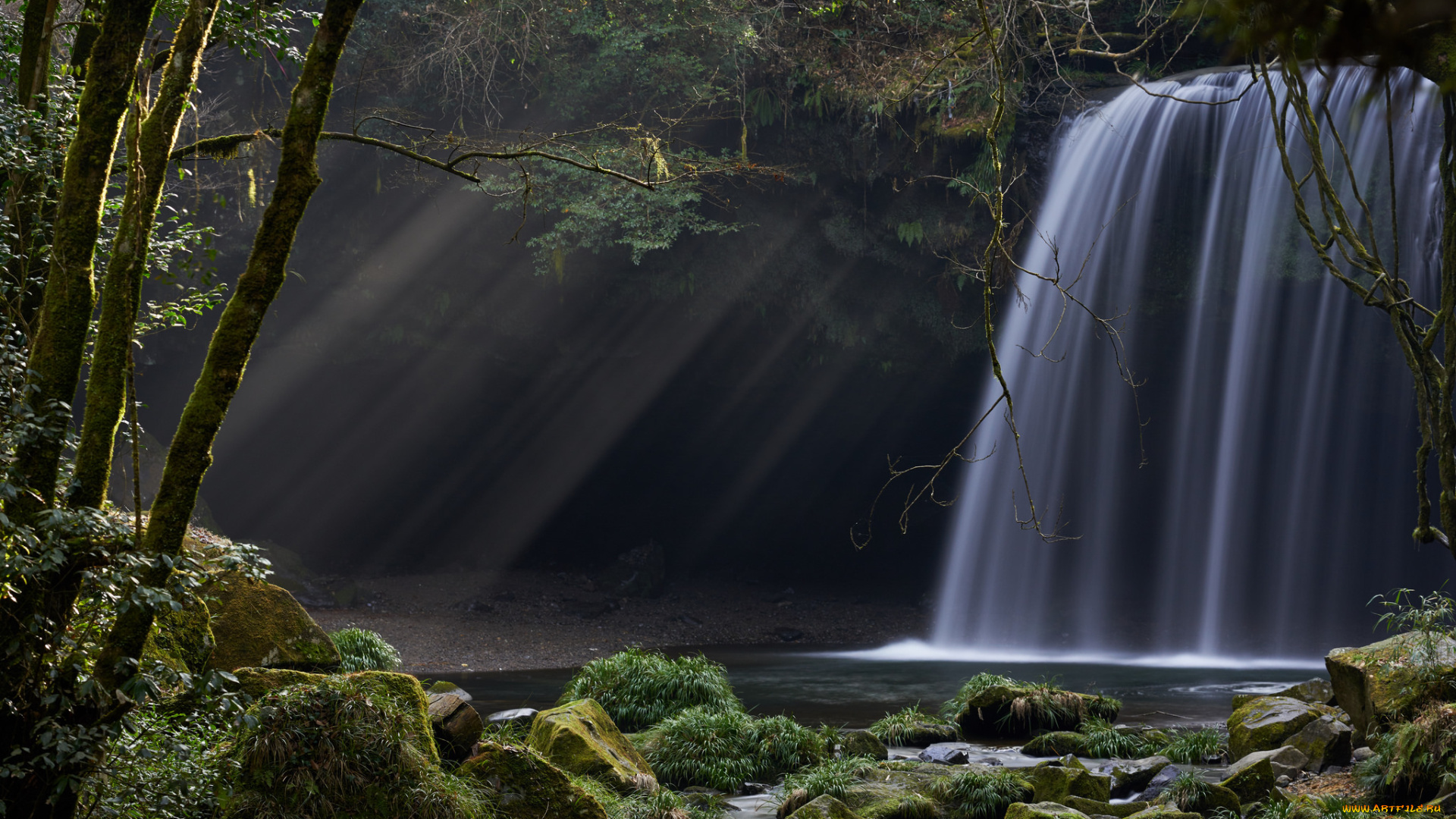 природа, водопады, лучи, растения, лес, водопад