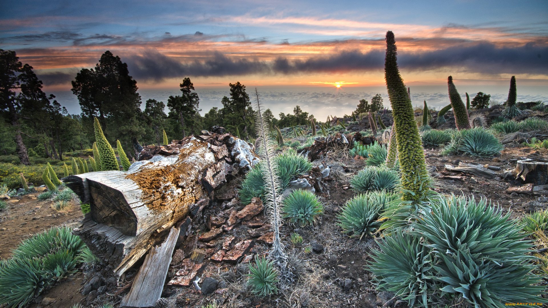 природа, восходы, закаты, рассвет