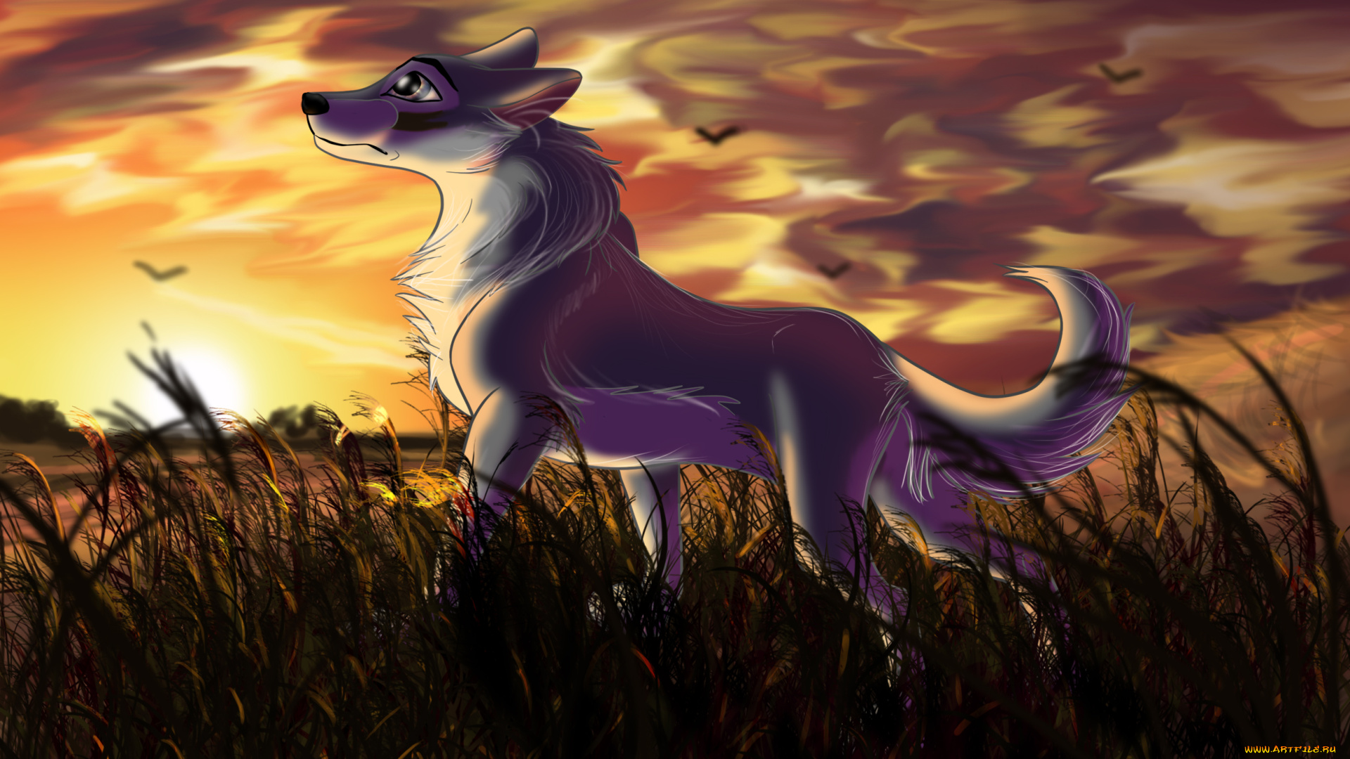 рисованное, животные, , собаки, собака, взгляд, фон, закат