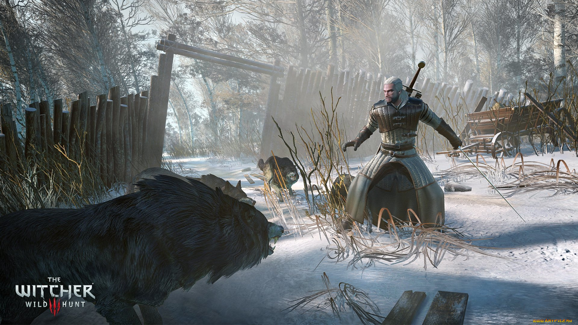 the, witcher, 3, , wild, hunt, видео, игры, волки, человек, снег, зима