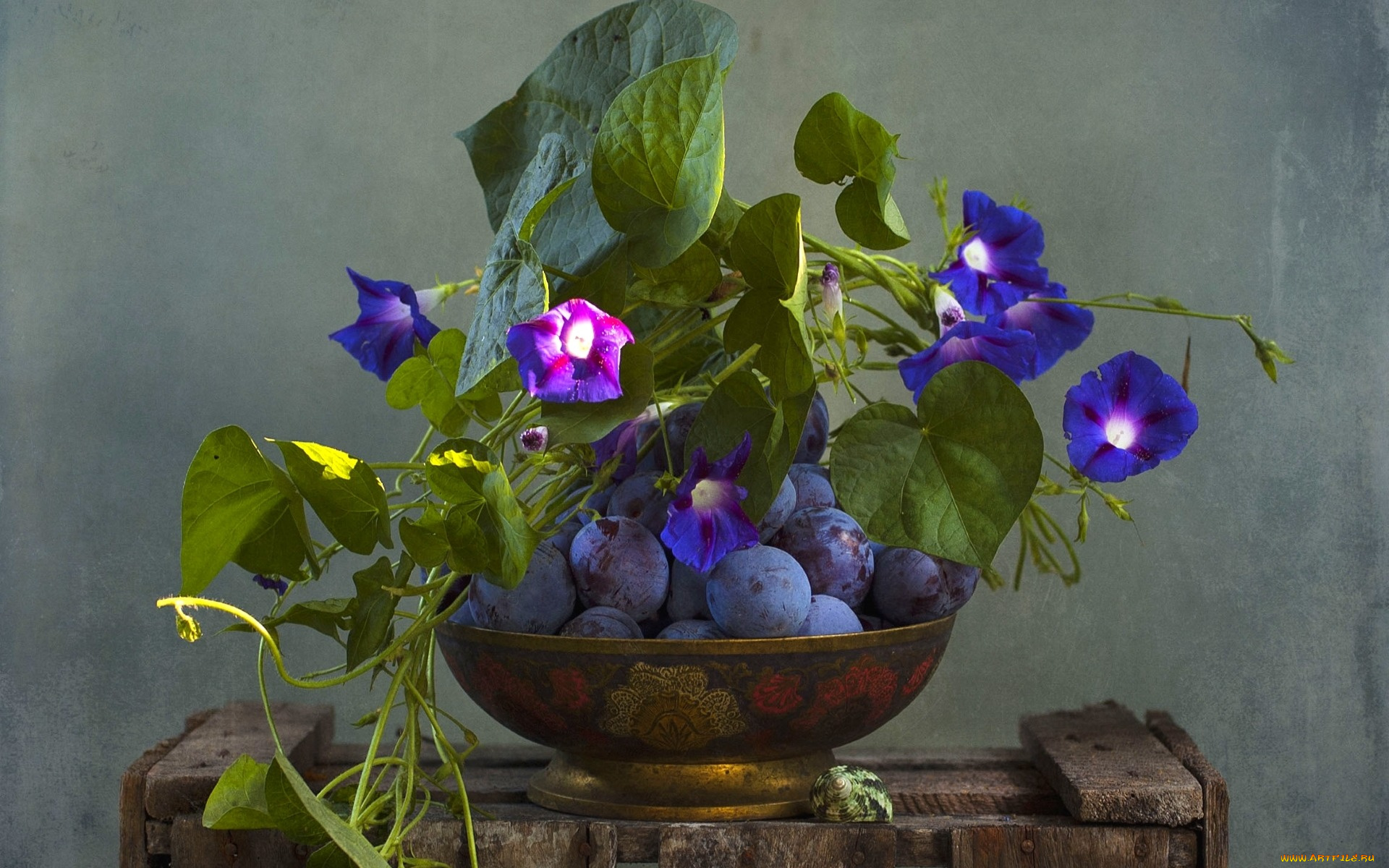 еда, персики, , сливы, , абрикосы, текстура, сливы, ипомея, вьюнок