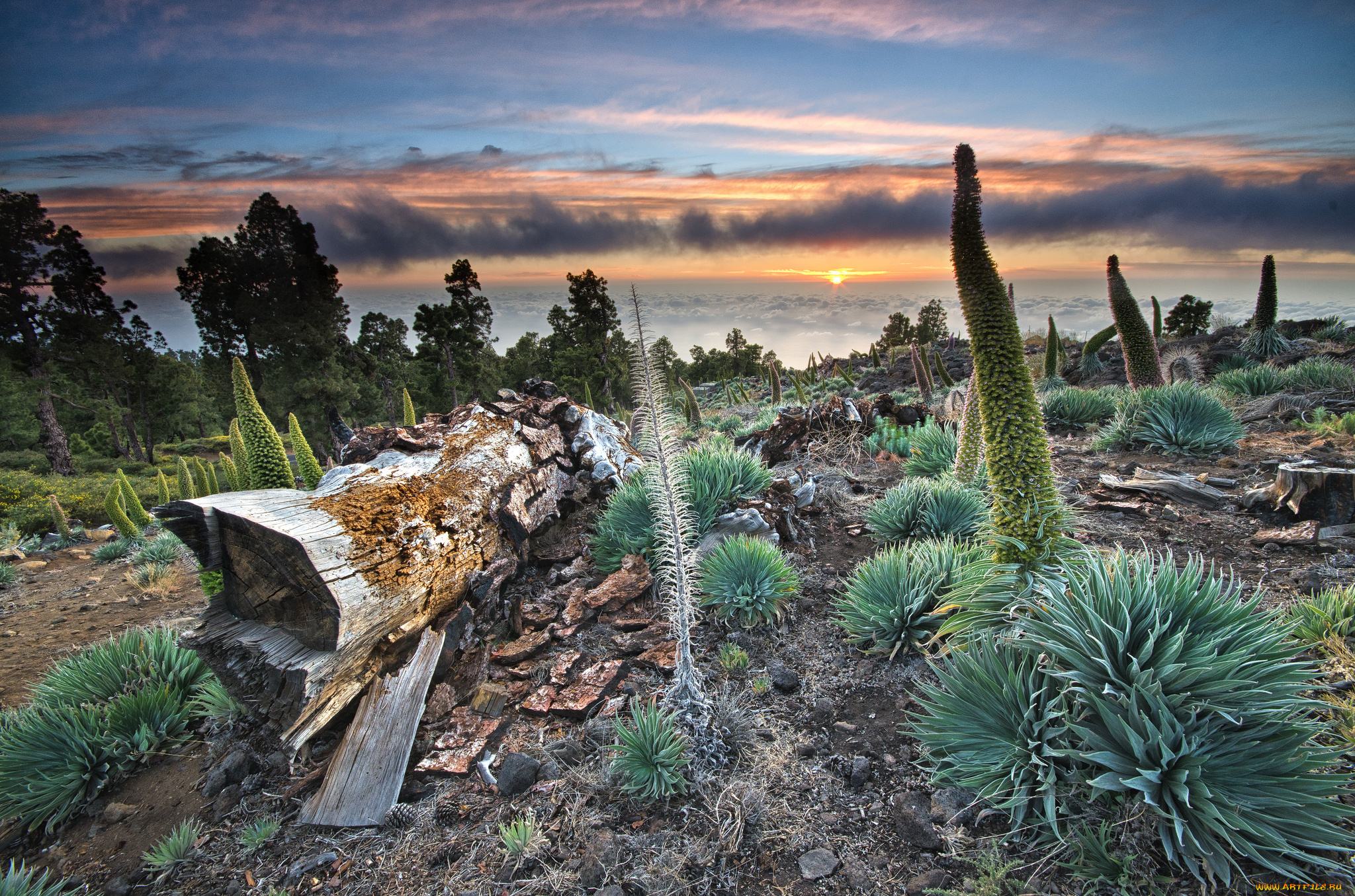 природа, восходы, закаты, рассвет