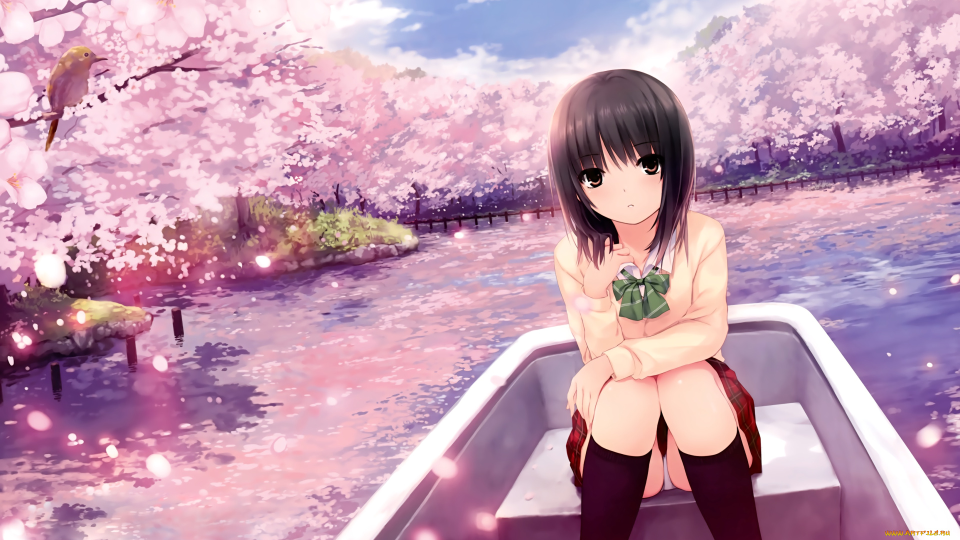 аниме, unknown, , другое, девушка