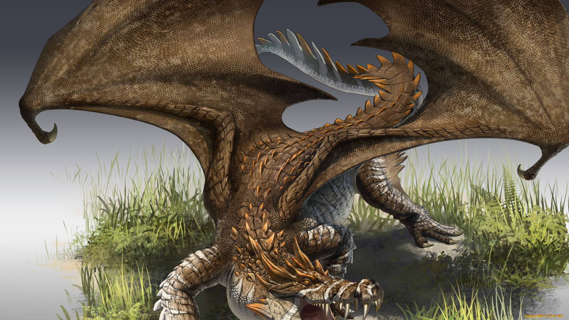 фэнтези, драконы, дракон