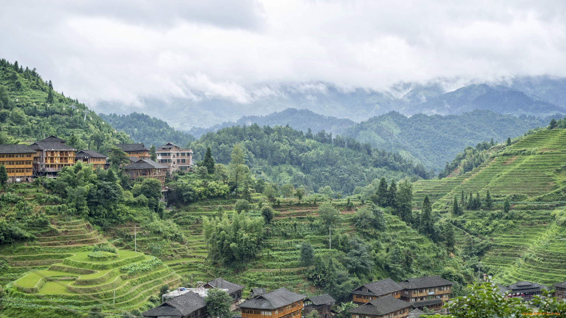 города, -, пейзажи, джунгли