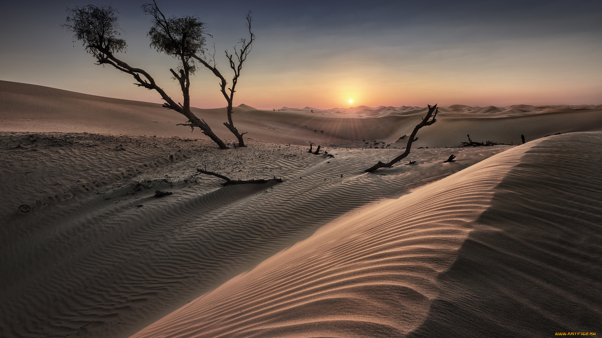 природа, пустыни, простор