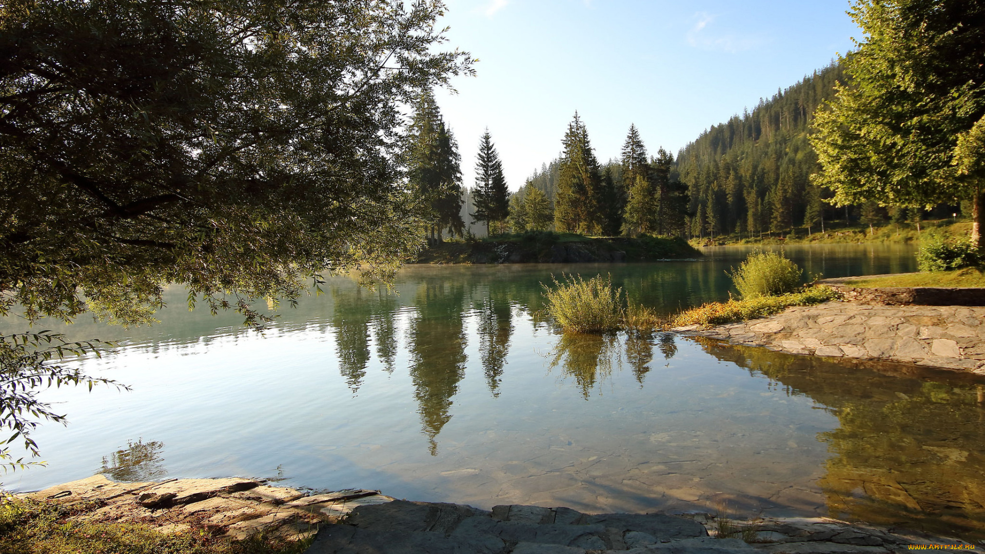 природа, реки, озера, река, лес