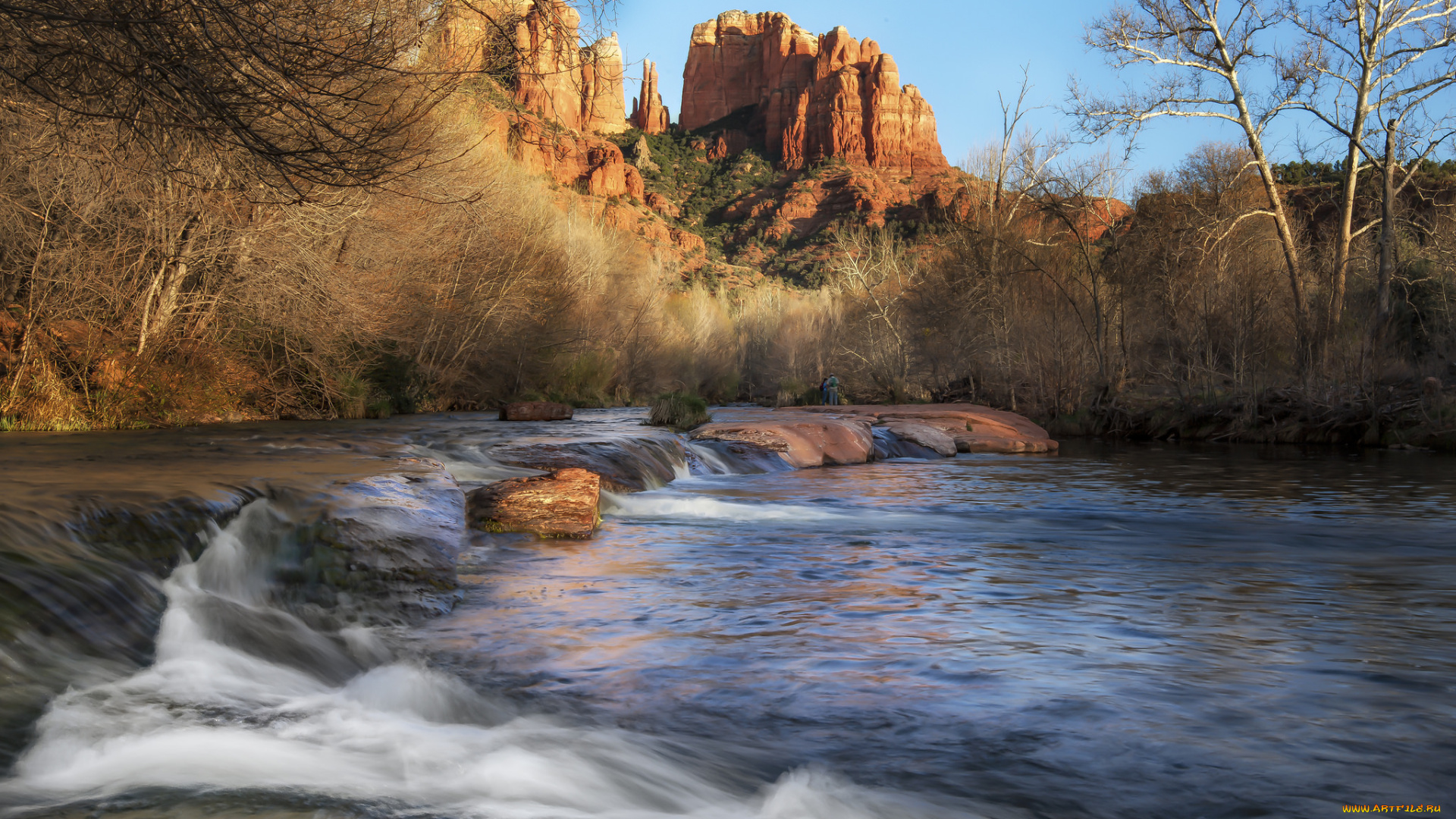 природа, реки, озера, река, лес