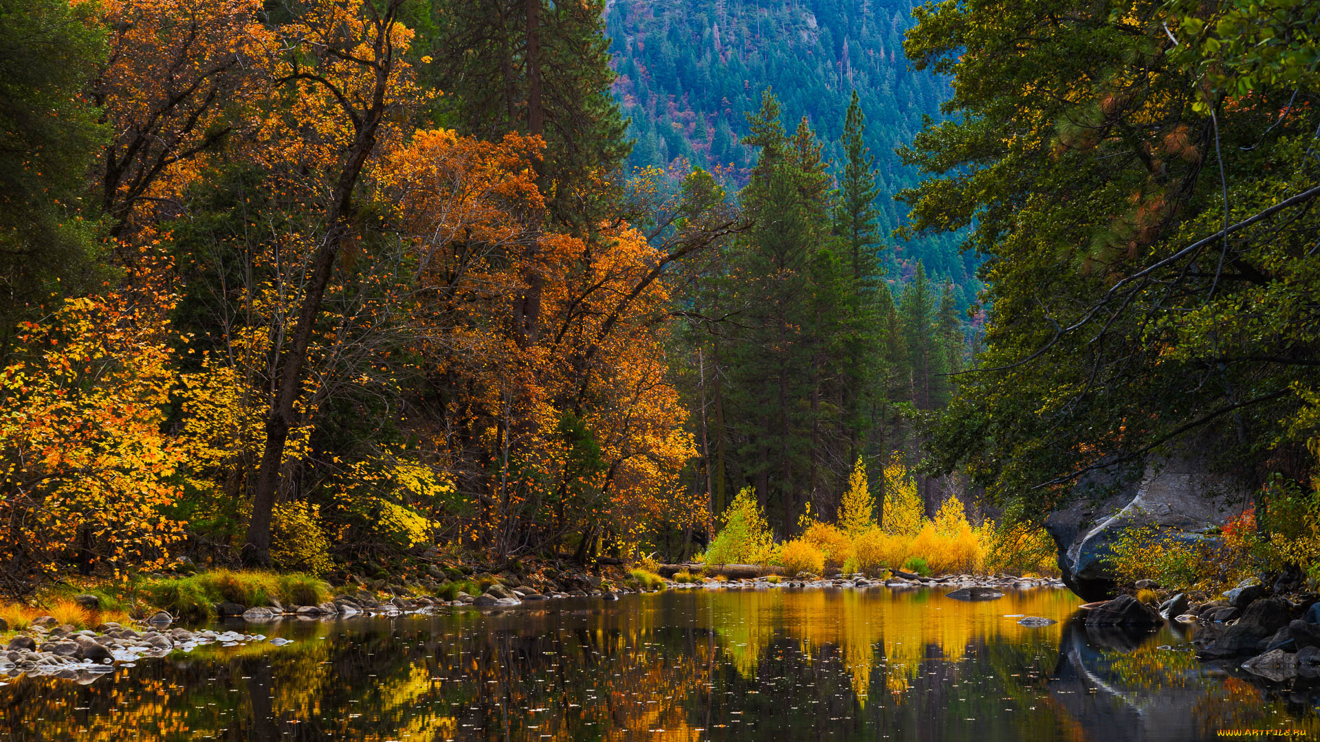 природа, реки, озера, река, лес, горы