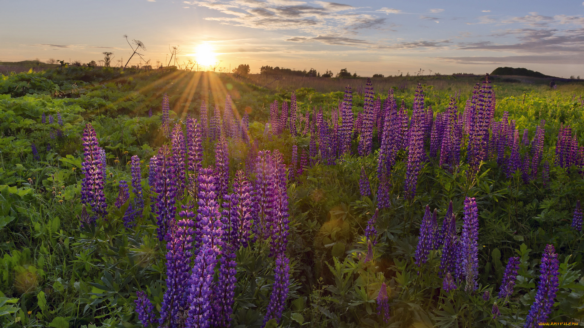 природа, восходы, закаты, рассвет