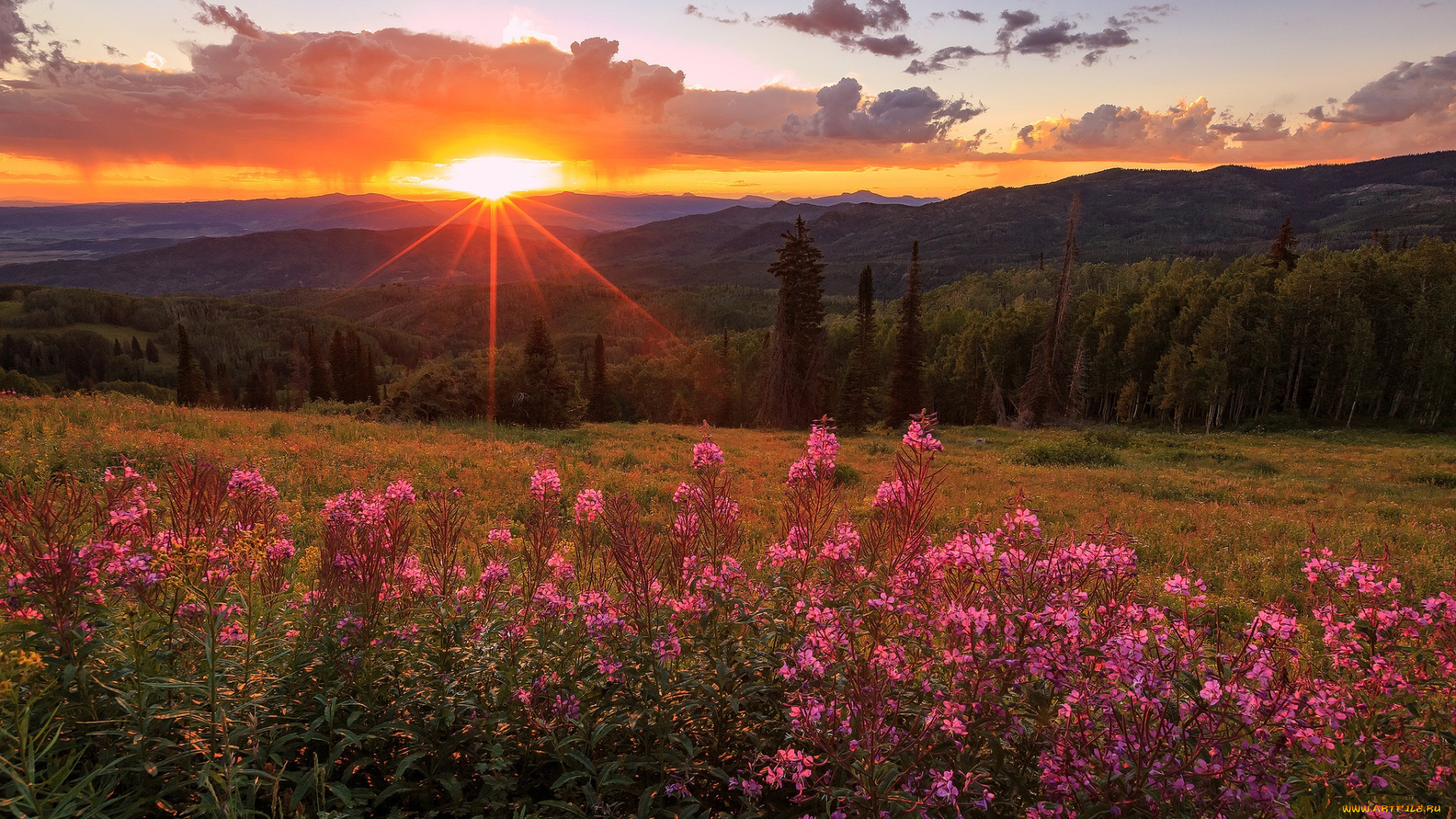 природа, восходы, закаты, рассвет