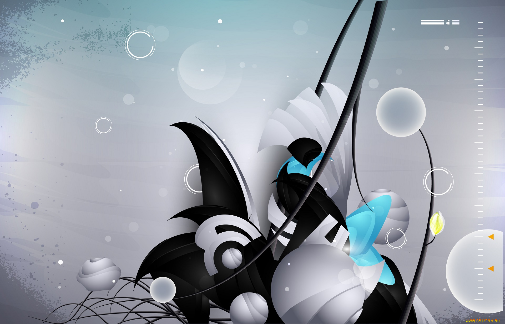 векторная, графика, графика, , graphics, фон, взгляд, девушка