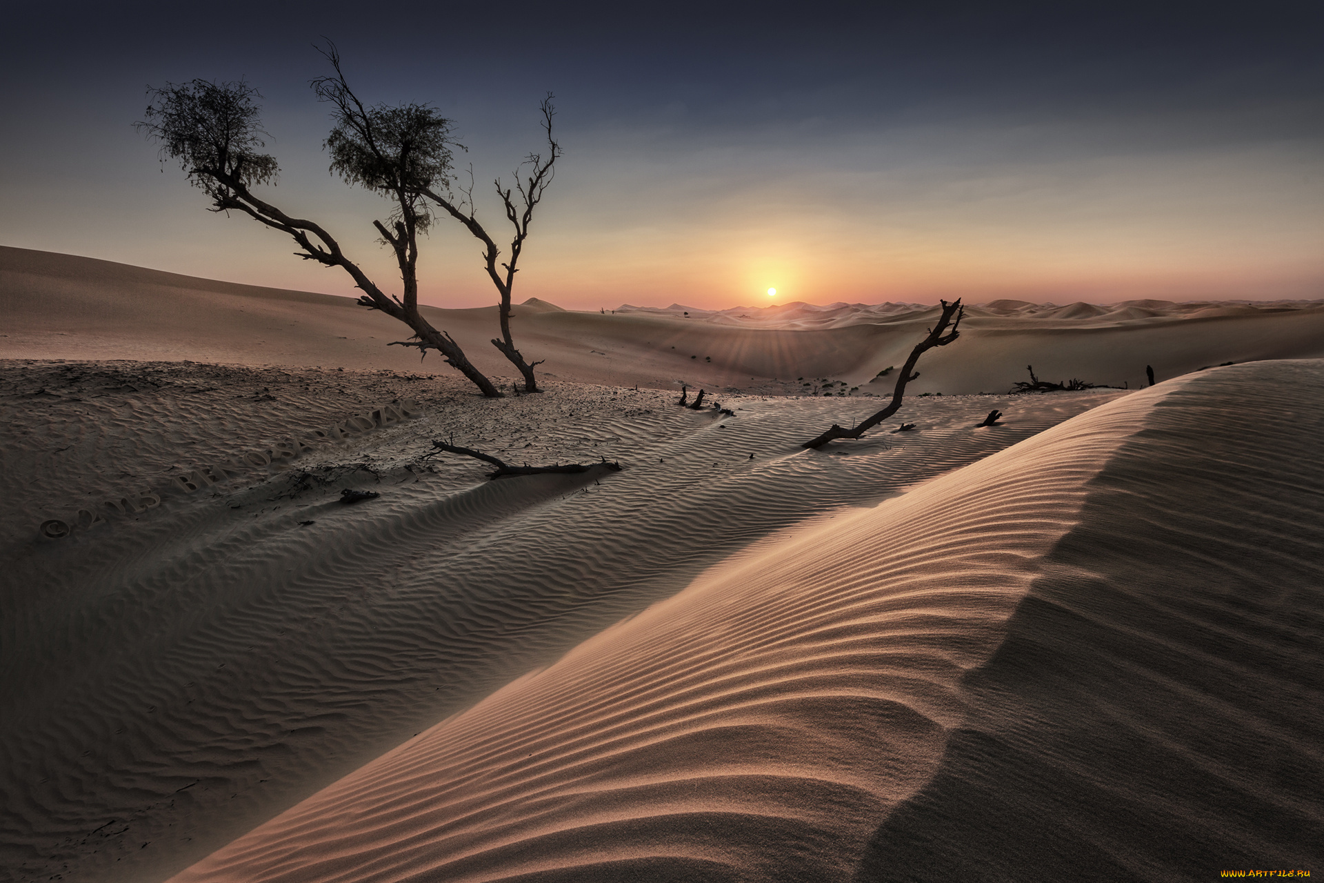 природа, пустыни, простор