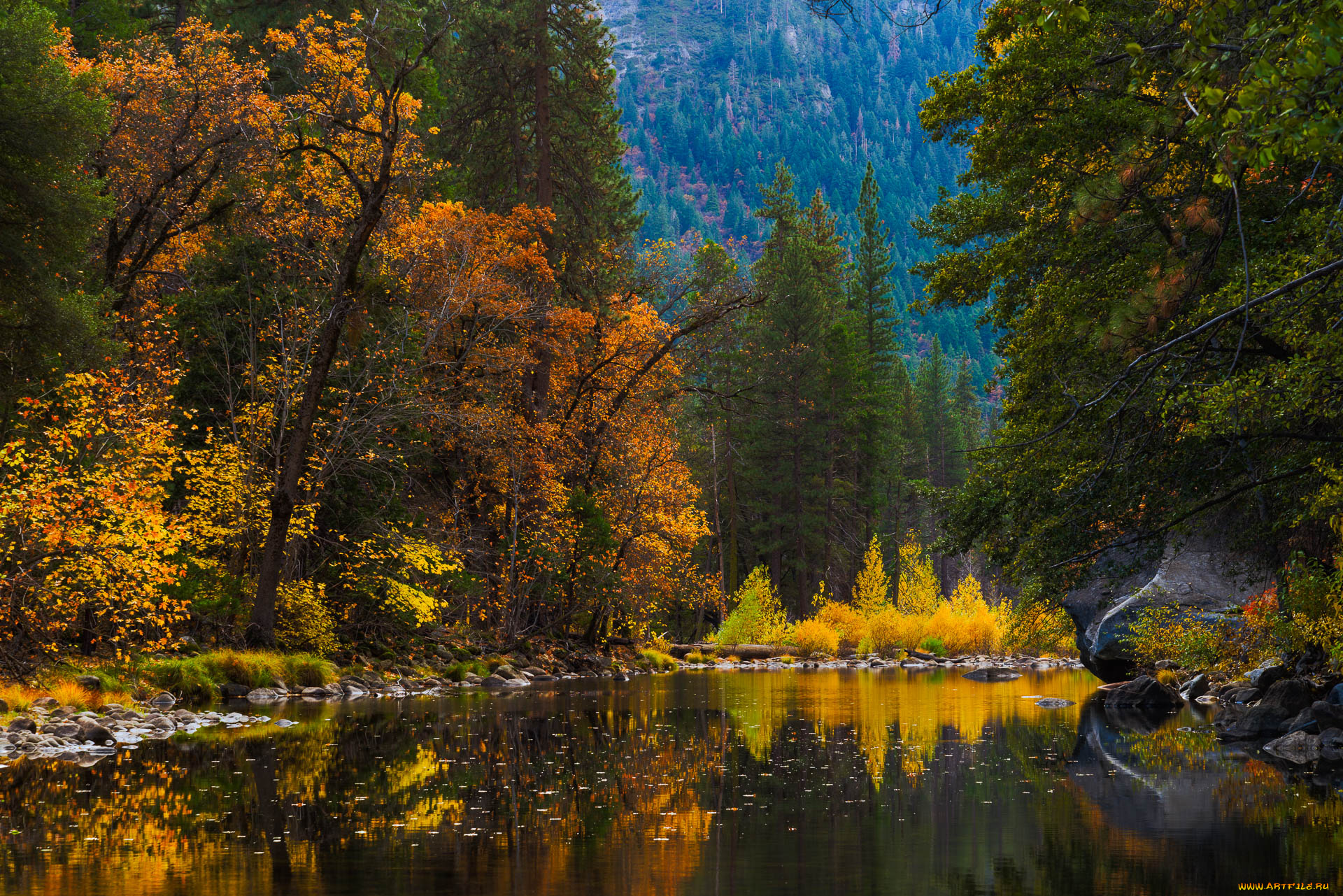 природа, реки, озера, река, лес, горы