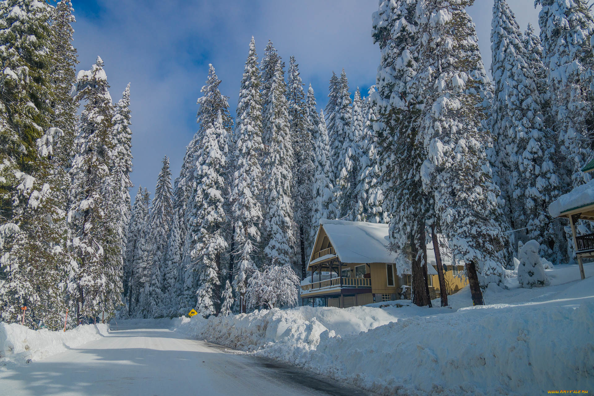 природа, зима, снег